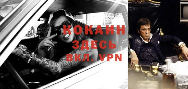 эйфоретик Аркадак