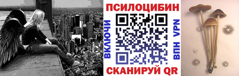 blacksprut маркетплейс  Сурск  Псилоцибиновые грибы GOLDEN TEACHER 